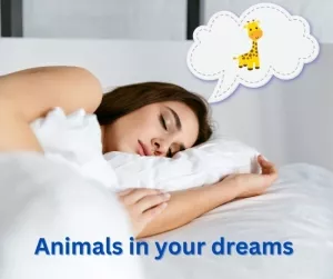Common Dream Meanings - Animals in Your Dreams