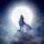 Psychic Readings by Starz_Wolf_Spirit