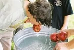 What is Bobbing for Apples?