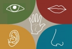 A Professional Psychic On How To Develop The 4 Clairs Of Intuition — Starz Psychics spiritual blog, psychic insights