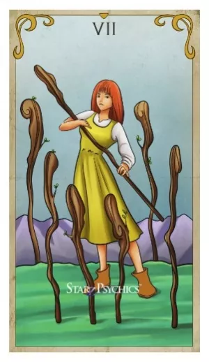 Tarot Card of the Day -  Seven of Wands