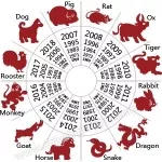 Chinese Zodiac Compatibility  