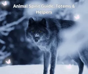 Animal Spirit Guide, Totems & Helpers
