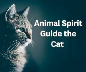 Animal Spirit Guide the Cat