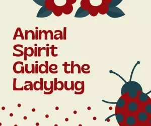 Animal Spirit Guide the Ladybug 