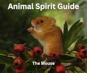Animal Spirit Guide the Mouse