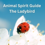 Animal Spirit Guide the Ladybug  — Starz Psychics spiritual blog, psychic insights