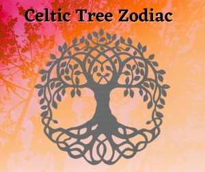 Celtic Tree Zodiac Calendar — Starz Psychics spiritual blog, psychic insights