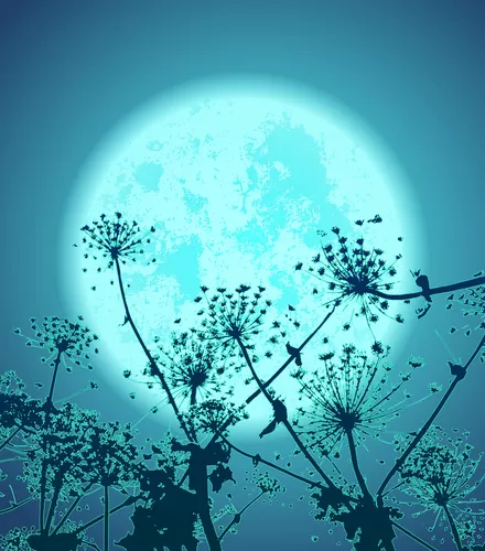 Full Flower Moon/Blue Moon