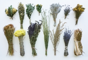 Herbs that Increase Psychic Abilities — Starz Psychics spiritual blog, psychic insights