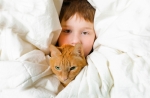 Experts Say Living With Humans Has Had a Strange Impact On Cats — Starz Psychics spiritual blog, psychic insights