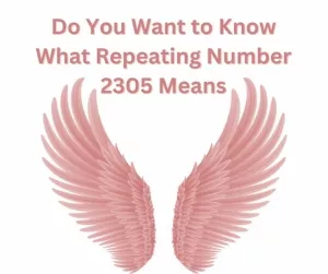 Do You Want to Know What Repeating Number 2305 Means