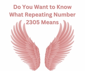 Do You Want to Know What Repeating Number 2305 Means — Starz Psychics spiritual blog, psychic insights