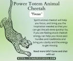 Power Totem Animal Cheetah 