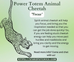 Power Totem Animal Cheetah 