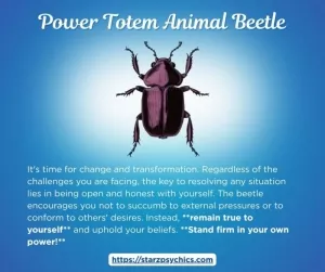 Power Totem Animal Beetle 
