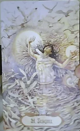 Winged Enchantment Cards - StarzRainsLovingInsight - The Seagull