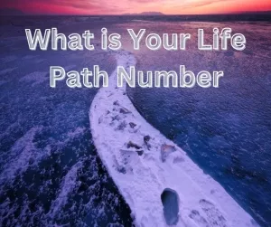 Repeating Number - Your Life Path Number