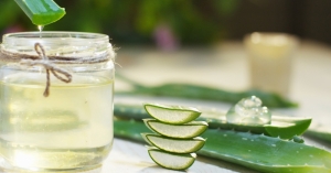 The Magic of Aloe Vera — Starz Psychics spiritual blog, psychic insights