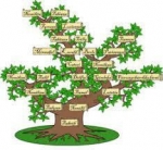 Ancestral Mathematics — Starz Psychics spiritual blog, psychic insights