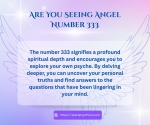 Angel Number 