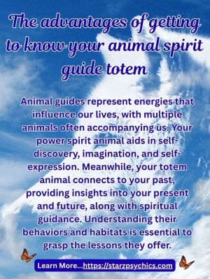 The Advantages of Knowing Your Animal Spirit Guide Totem