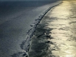 Scientists Accidentally Discovered Strange Creatures Under Half a Mile of Ice