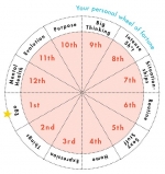 Everything You Need to Know About Astrology Houses — Starz Psychics spiritual blog, psychic insights