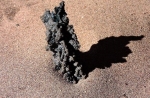 If You Head To The Beach After A Storm, You May Well Find This Mesmerizing Structure Below The Sand — Starz Psychics spiritual blog, psychic insights