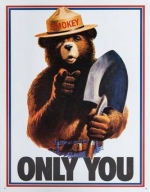What Wildfire Archaeology Tells Us About the Burning American West — Starz Psychics spiritual blog, psychic insights