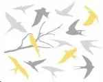 Bird Migration: How, Why & Where   