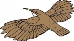 Folktales and Superstitions of Birds — Starz Psychics spiritual blog, psychic insights