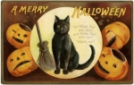 Halloween, Samhain, & The Thinning Veil — Starz Psychics spiritual blog, psychic insights