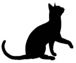 5 Pawsitively Fascinating Facts About Black Cats — Starz Psychics spiritual blog, psychic insights