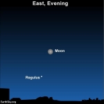 Twice in a Blue Moon - This is late I know :(......Natalie — Starz Psychics spiritual blog, psychic insights