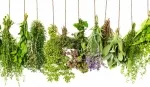 Botanical Astrology