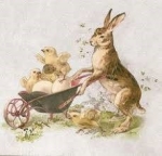 Ostara/Spring  — Starz Psychics spiritual blog, psychic insights