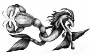 Polarity: Opposite Zodiac Signs 