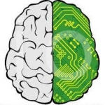 What Is Cellular Memory? 8 Signs Of A ‘Past Life’ Connection — Starz Psychics spiritual blog, psychic insights