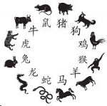 Chinese Zodiac Stories — Starz Psychics spiritual blog, psychic insights