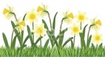 What to Do in the Garden in April — Starz Psychics spiritual blog, psychic insights