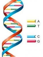 13 Things to Know About DNA Testing Kits — Starz Psychics spiritual blog, psychic insights
