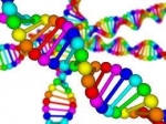 Scientists Say They’ve Pinpointed The Place Where Every Human Came From — Starz Psychics spiritual blog, psychic insights