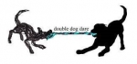 Dare Day- a Challenging Day — Starz Psychics spiritual blog, psychic insights