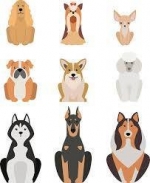 You Asked: ‘Why Is My Dog Doing THAT? — Starz Psychics spiritual blog, psychic insights