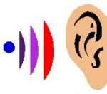 Teach Yourself To Echolocate - A Beginner’s Guide To Navigating With Sound.    — Starz Psychics spiritual blog, psychic insights