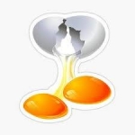 Why Are People Superstitious About Double-Yolked Eggs? — Starz Psychics spiritual blog, psychic insights