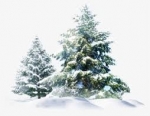 Predicting Winter Weather — Starz Psychics spiritual blog, psychic insights
