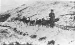  Fannie Quigley, Alaska Gold Rush’s All-in-One Miner, Hunter/Brewer/Cook