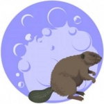 Full Beaver Moon ~ Green With Envy — Starz Psychics spiritual blog, psychic insights
